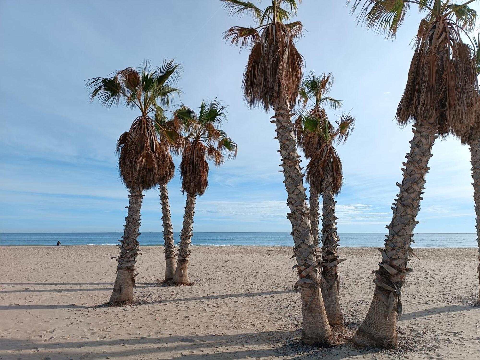 Playa Cannet 20 Km Valencia Piscina Tennis Canet d'En Berenguer Εξωτερικό φωτογραφία